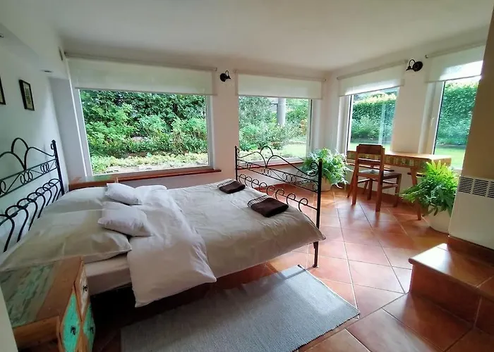 Spacious In District. 公寓 弗罗茨瓦夫